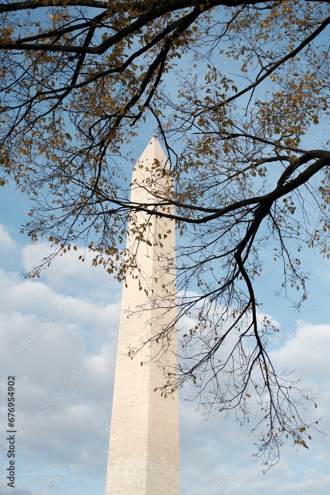Low angle shot of the Washington Monument seen behind autumn tree branches