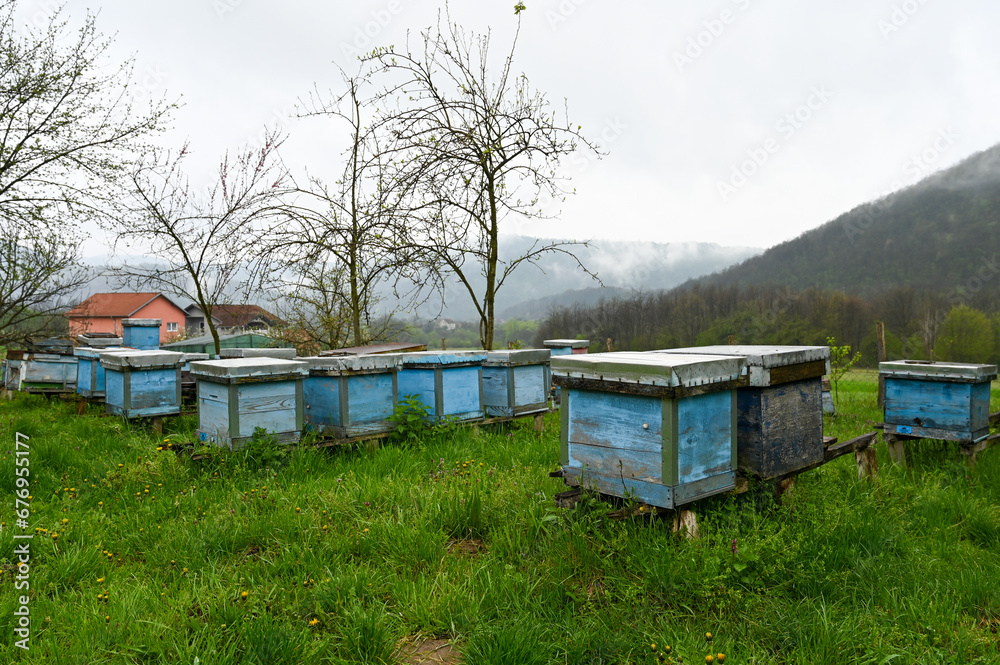 Wooden houses for bees on a bee farm, a beehive in an apiary. Wooden houses for bees on a bee farm, a beehive in an apiary.