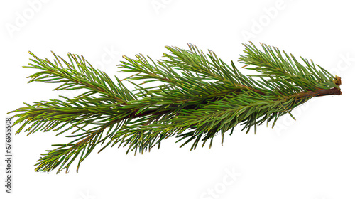 Fir twigs isolated on white created with Generative AI