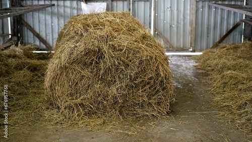 Hay in the barn for winter feeding. Hay is stored on a farm for agriculture, livestock feed, ranch or farm use. Straw for animals to eat in winter.