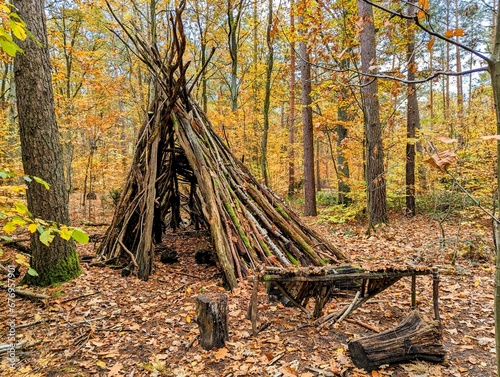 Self-built wooden hut in an autumn forest