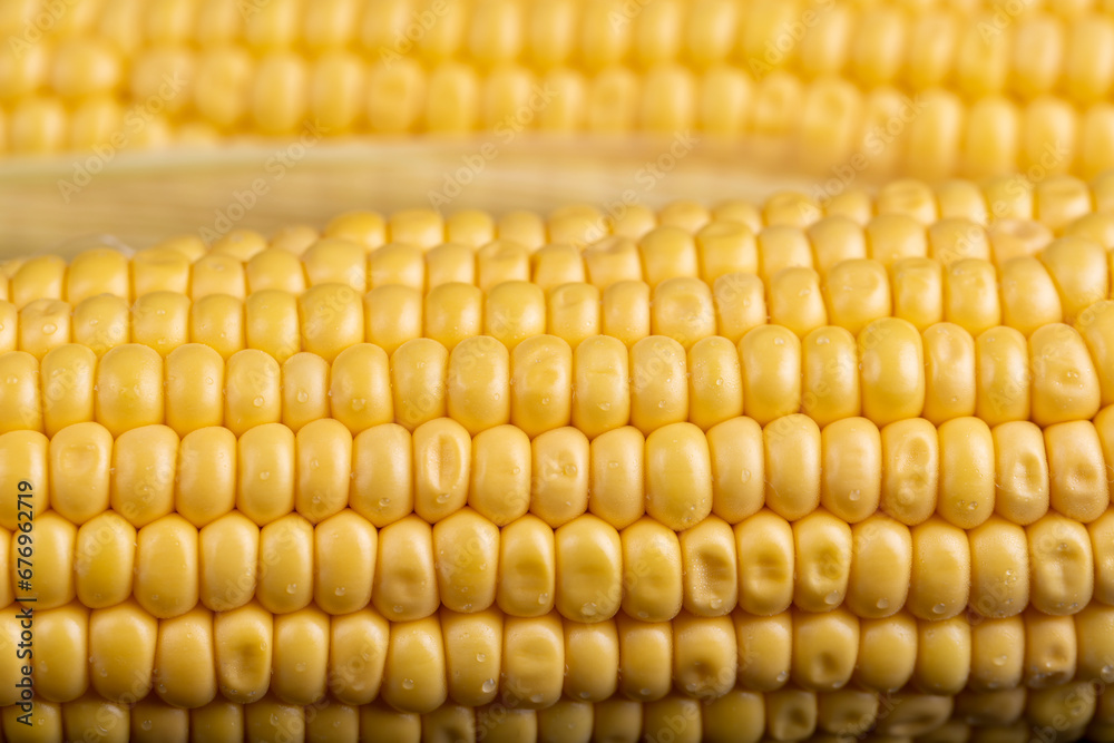 a ripe corn cob covered with water drops a ripe corn cob covered with water drops