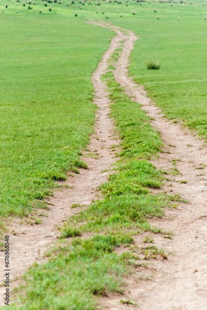Vertical shot of a road through a field Vertical shot of a road through a field