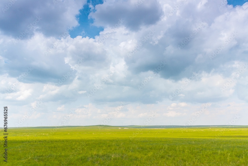 Fototapeta premium Beautiful shot of an empty green field under a blue sky