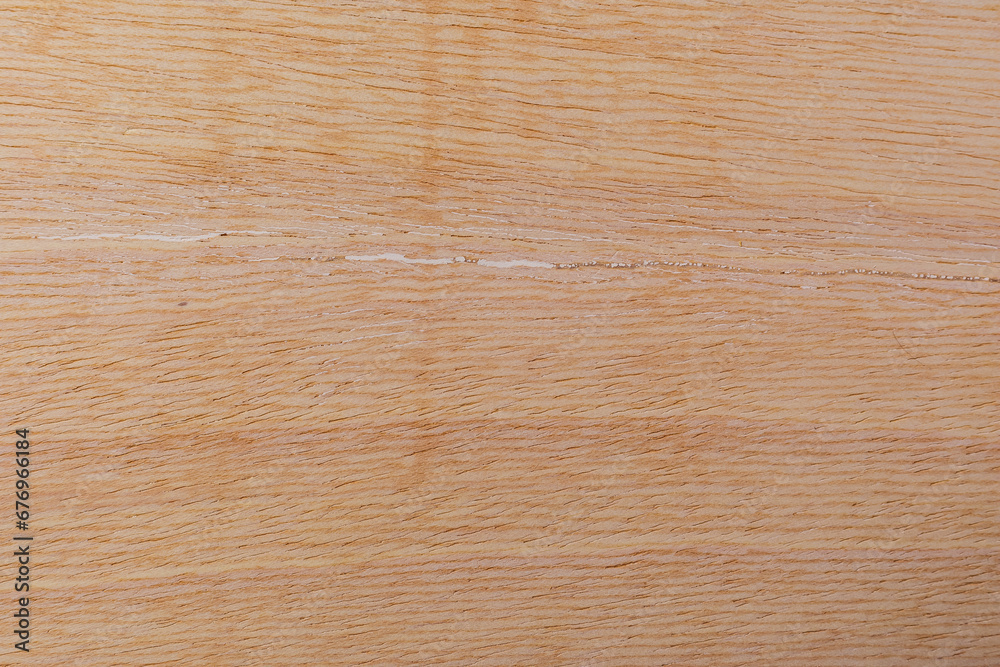 Naklejka premium Light rough textured cut surface of an African tree. Wood background or blank for design