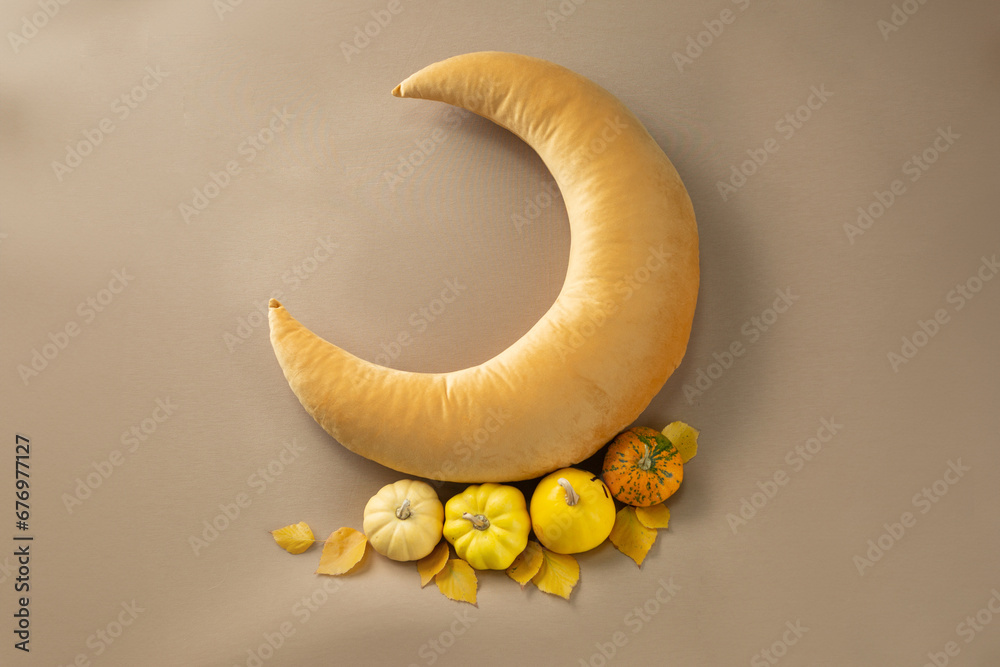 lunar decor with autumn leaves and pumpkins for a newborn baby photo shoot. template for newborn photo. layout for photo. autumn layout