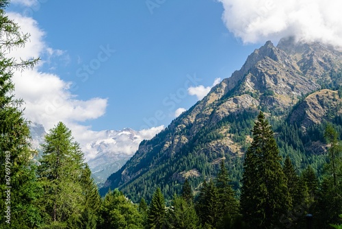 Image of the top of mountain in white clouds and the view of pine trees under the blue sky.