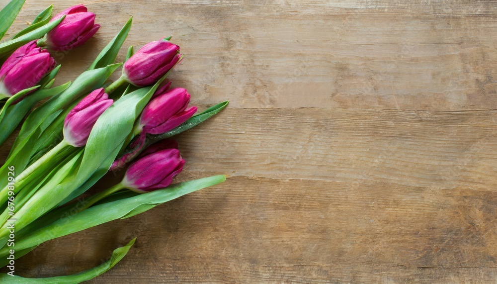 Tulipes Roses sur Fond de Bois