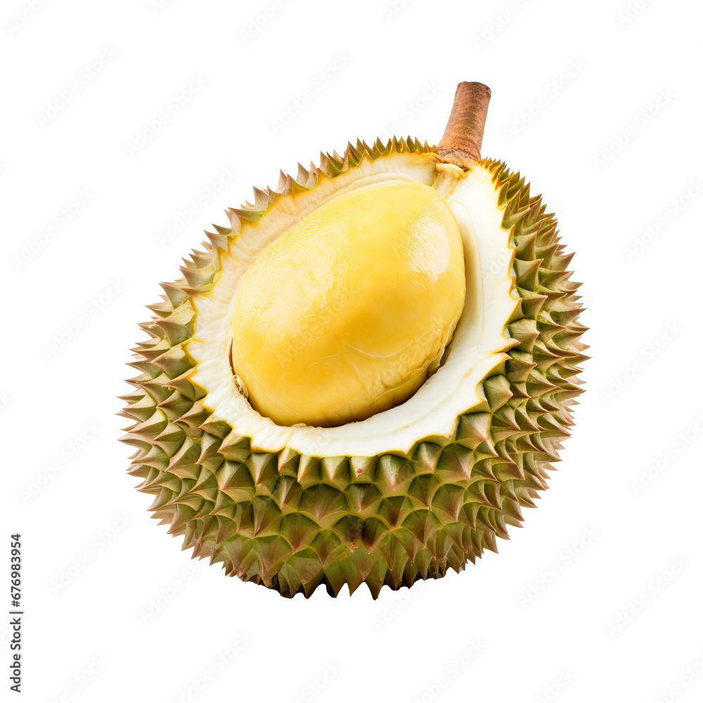 Obraz premium Whole durian with its spiky shell, distinctive shape, and natural hues displayed vividly against a clear backdrop for versatile use.