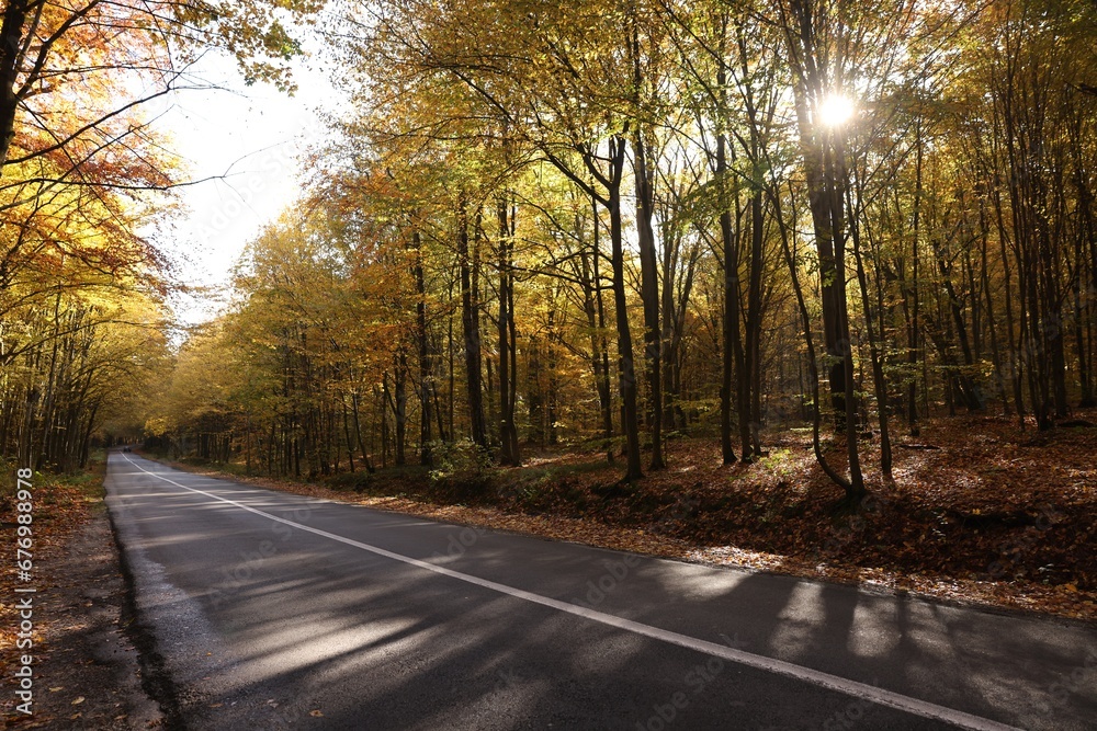 Beautiful view of asphalt road going through autumn forest Beautiful view of asphalt road going through autumn forest