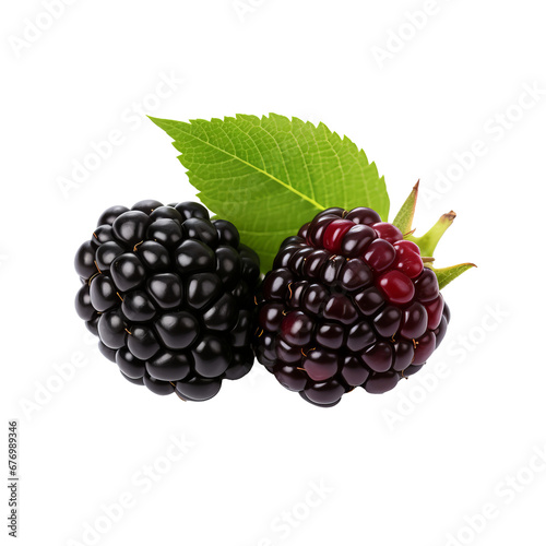 Luscious blackberry fruit depicted in full body with vivid details, rendered against a clean transparent background for versatile use. photo