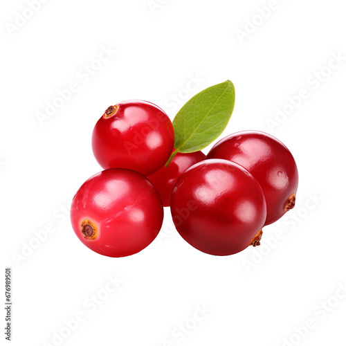 A vivid cranberry fruit graphic, fully detailed and rich in color, is displayed against a clear transparent background.