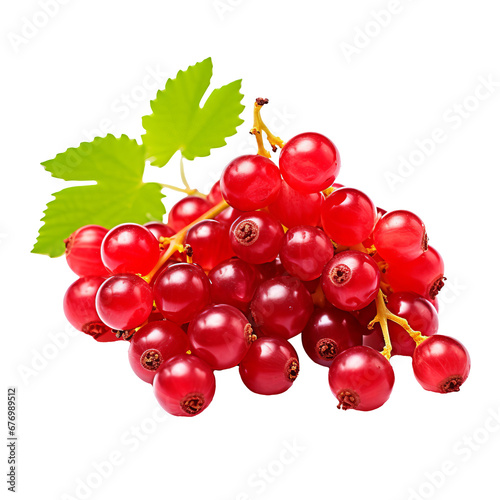 Full-bodied currant fruit cluster, rich in color, displayed prominently against a clear, transparent backdrop.