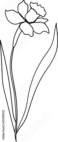 Daffodil flower abstract illustration