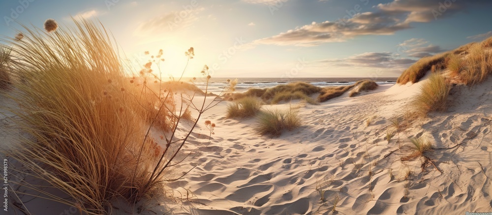 Panorama of dunes on the coast of the Baltic Sea - obrazy, fototapety, plakaty 