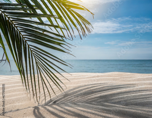 Selective focus of summer and holiday backgrounds concepts with shadow of coconut leaf on clean sand beach