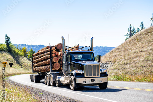 Day cab black big rig powerful semi truck transporting huge logs on the semi trailer climbing up hill on the mountain winding road photo