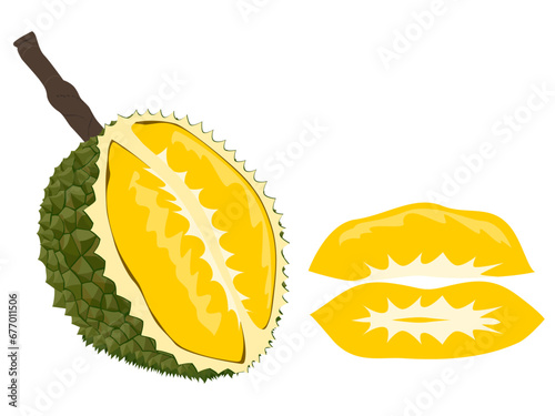 Durian on a white background.