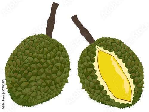 Durian on a white background.