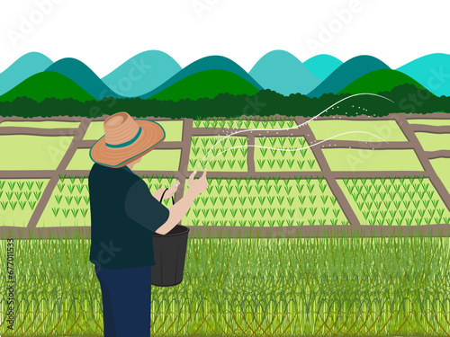 Farmers use chemical fertilizers to grow rice crops.