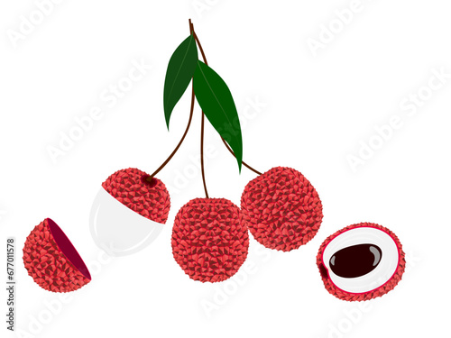 lychee on a white background. photo