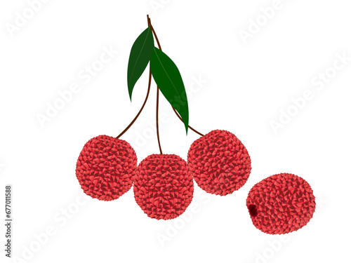 lychee on a white background. photo
