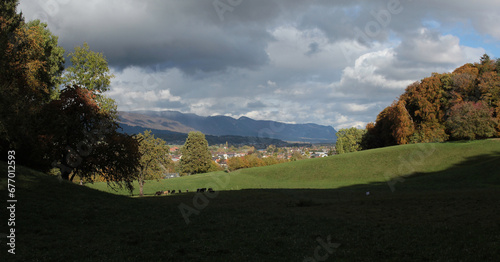Rural Landscape