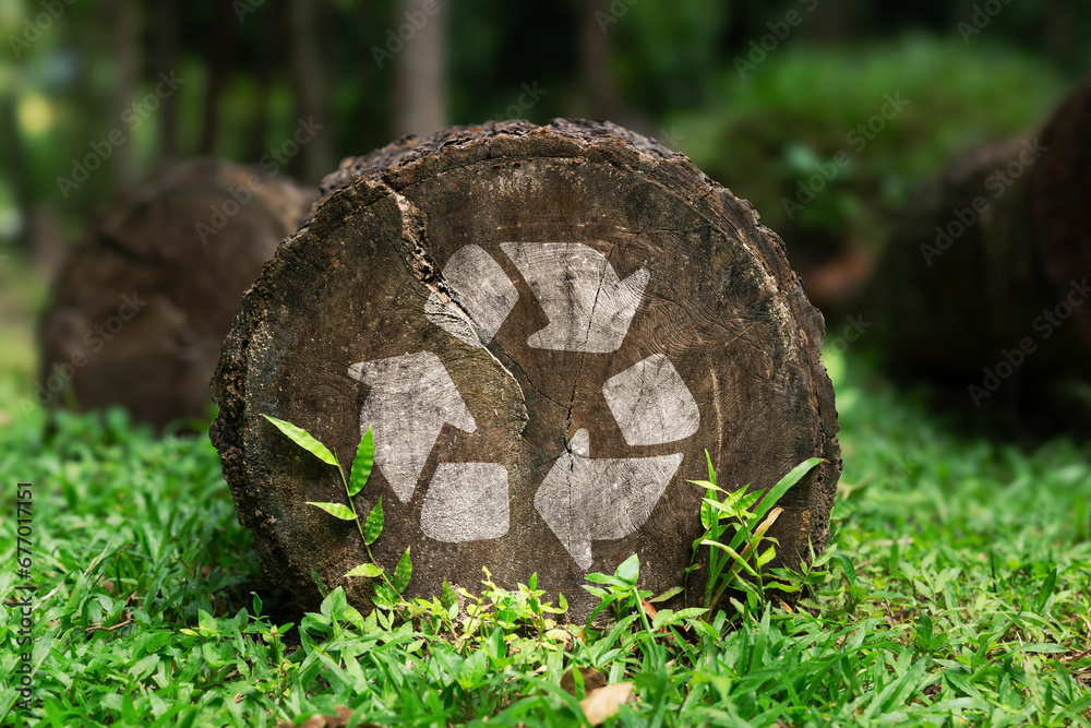 reduce reuse recycle icon painted on old wood trunk, Environmental ...
