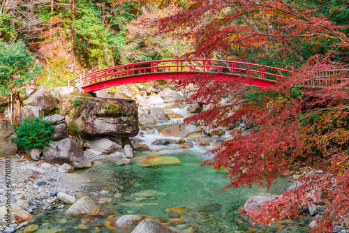 夕森公園の紅葉と赤いもみじ橋（岐阜県中津川市）