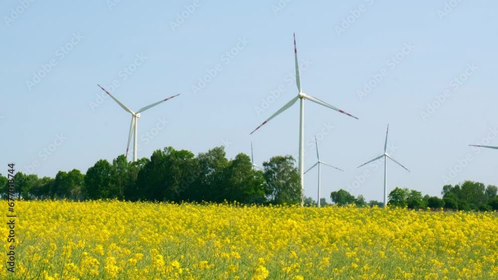 Wind turbine on grassy yellow farm canola field against cloudy blue sky in rural area. Concept of climate friendly renewable energy. Wind power plant generating electricity. Renewable green clean Wind turbine on grassy yellow farm canola field against cloudy blue sky in rural area. Concept of climate friendly renewable energy. Wind power plant generating electricity. Renewable green clean