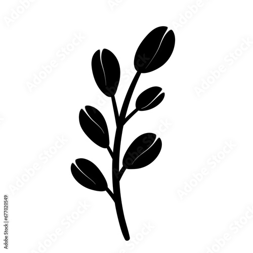 illustration of a plant