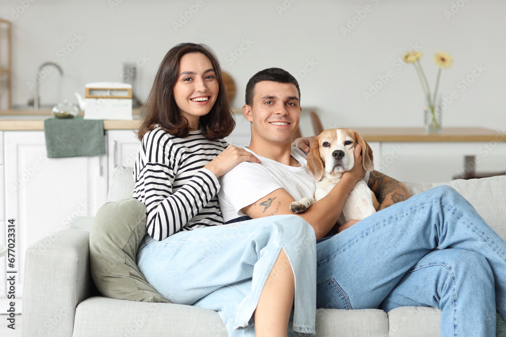 Young couple with cute Beagle dog at home Young couple with cute Beagle dog at home