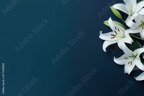 minimalistic lilies with dark blue background with copy space