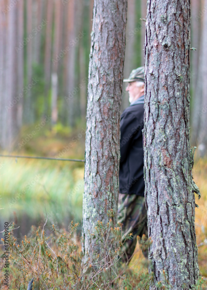 fisherman on the shore of a swamp lake, forest and swamp vegetation, rainy and cloudy day fisherman on the shore of a swamp lake, forest and swamp vegetation, rainy and cloudy day