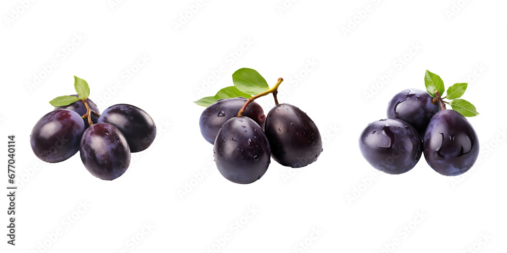 Damson isolated on white background Damson isolated on white background