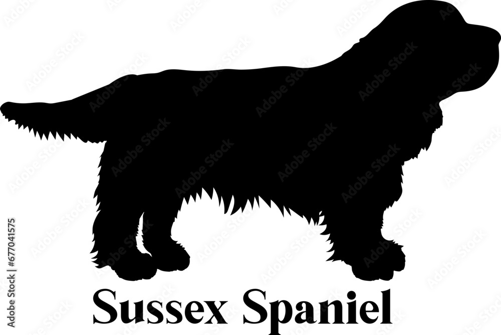 Sussex Spaniel Dog silhouette dog breeds logo dog monogram logo dog face vector
