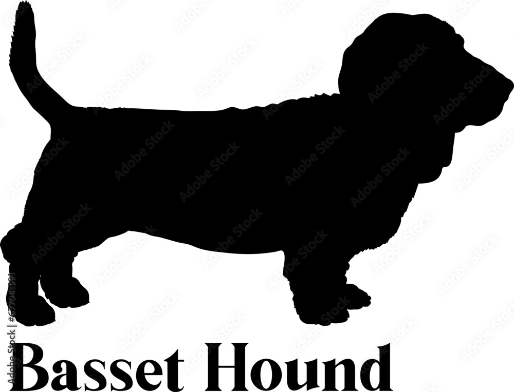 Basset Hound Dog silhouette dog breeds logo dog monogram logo dog face vector
