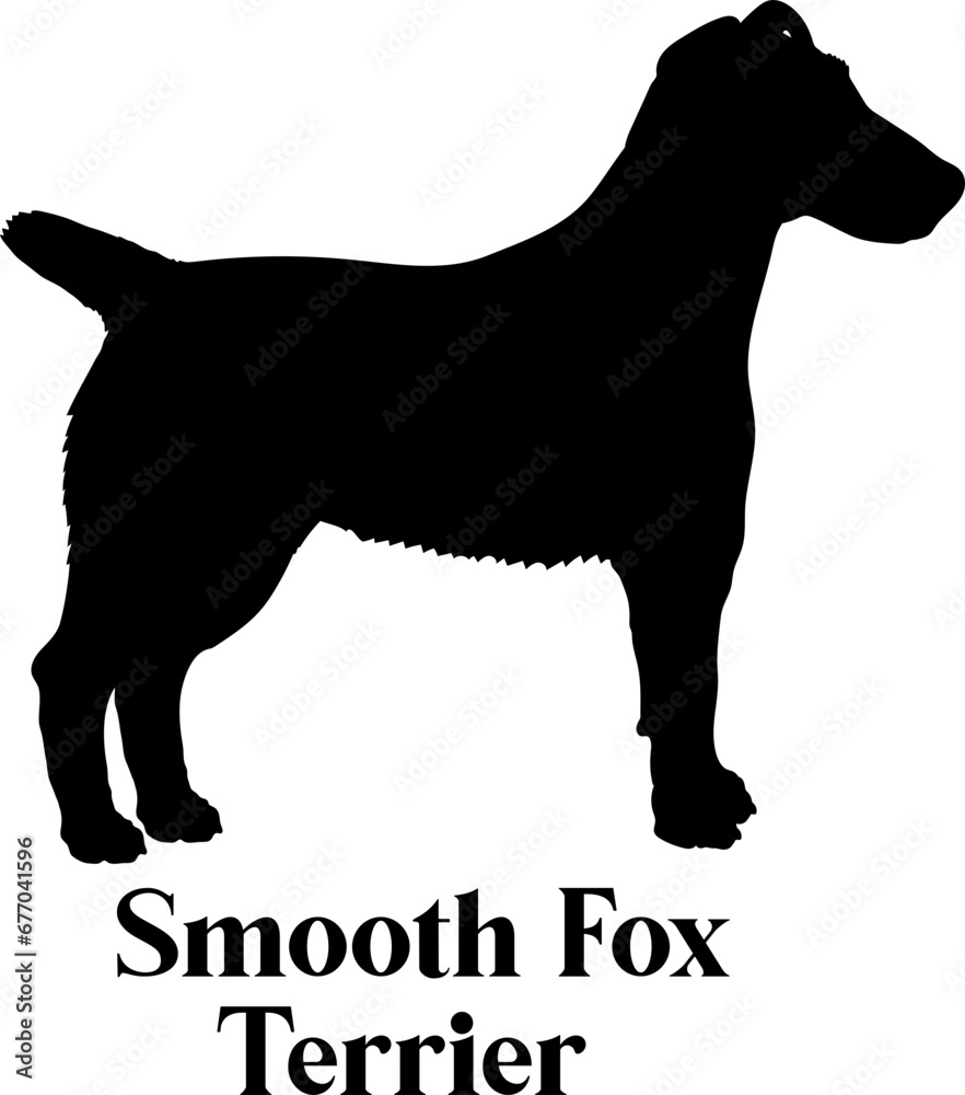 Smooth Fox Dog silhouette dog breeds logo dog monogram logo dog face vector
