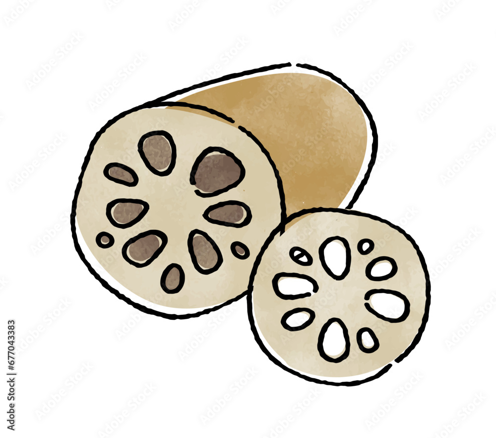 Obraz premium れんこん