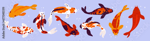 Cartoon koi fish. Different colors pond Japanese carps top view. Underwater decorative inhabitant. Asian spotted goldfish. Chinese water animals swimming in aquarium. Garish vector set