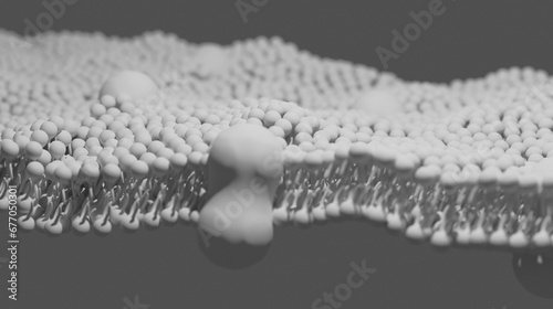 3D illustration of the extracellular matrix within the human body in black and white. Scientific Illustration (ID: 677050301)