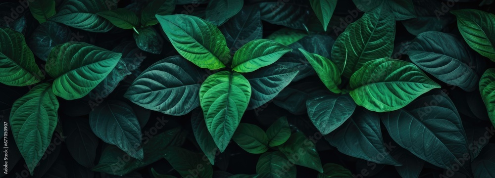 A Serene Botanical Portrait: An Intimate Look at the Verdant Leaves