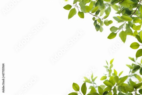 botany green leaves branches background, Generative AI