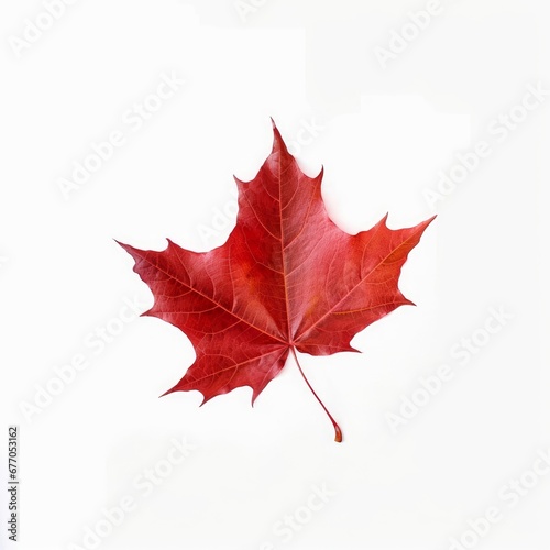 dry red maple leaf  Generative AI