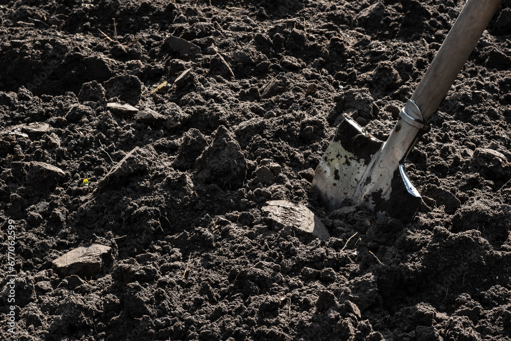 Fototapeta premium Tilled soil on a homestead plot. A shovel stuck in the ground