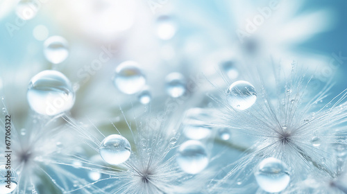 Macro Nature Photography  Beautiful Dew Drops and Botanical Abstracts