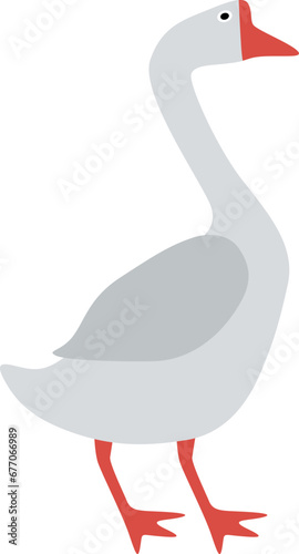 Goose bird illustration