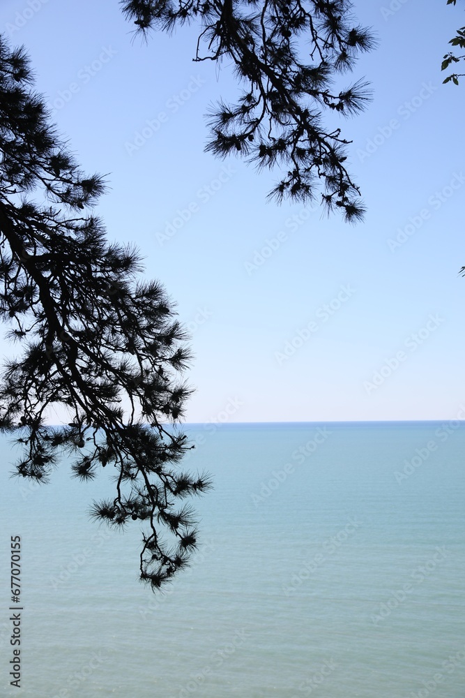 Beautiful view of tree branches and calm sea under blue sky Beautiful view of tree branches and calm sea under blue sky
