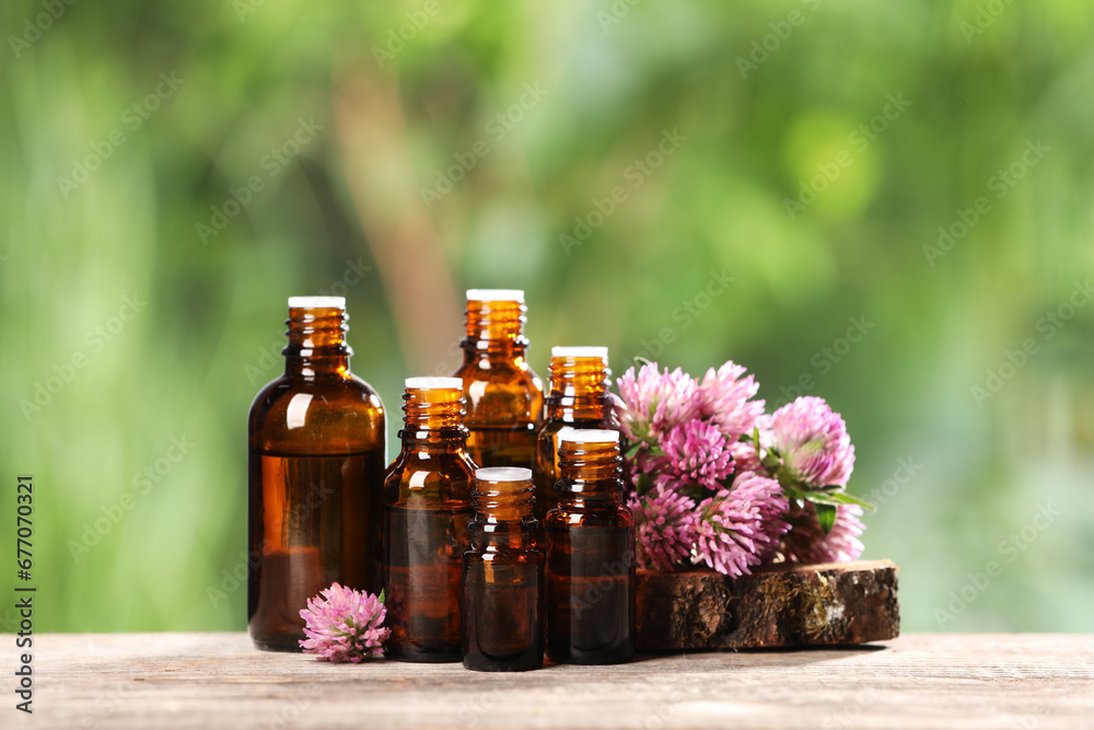 Bottles with essential oil and clover flowers on wooden table against blurred green background. Space for text