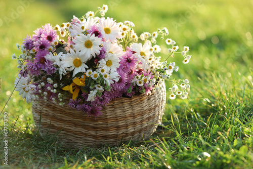 Wicker basket with beautiful wild flowers on green grass outdoors photo